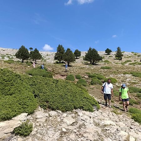 شقة Dinosaur House Coll de Nargó المظهر الخارجي الصورة